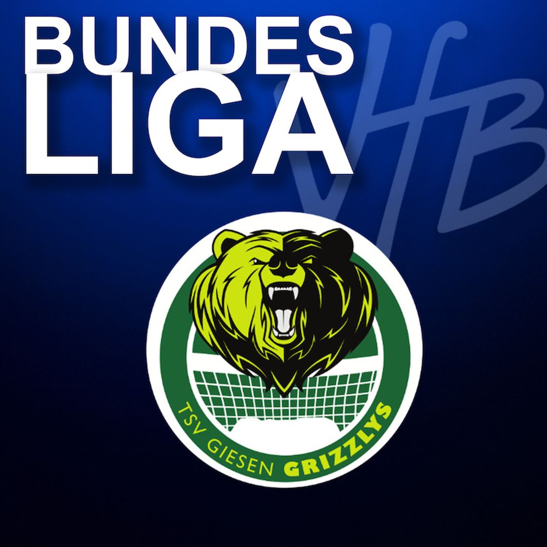 VfB