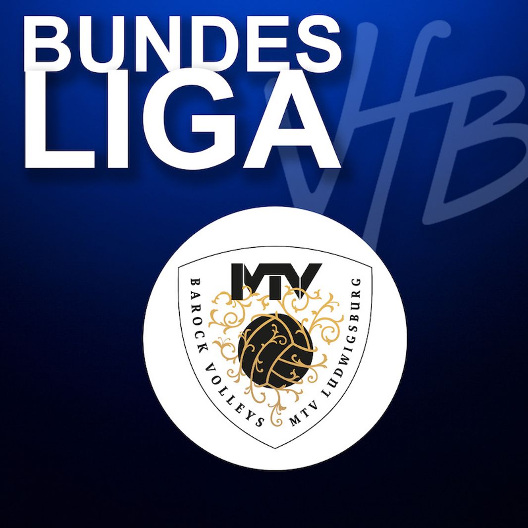 VfB