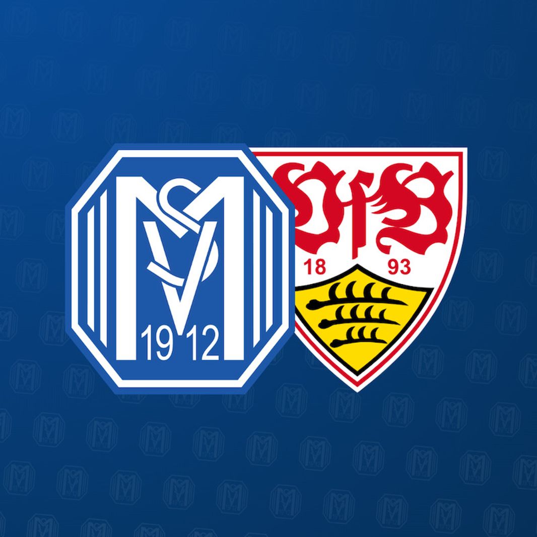 SV Meppen 1912 e.V.