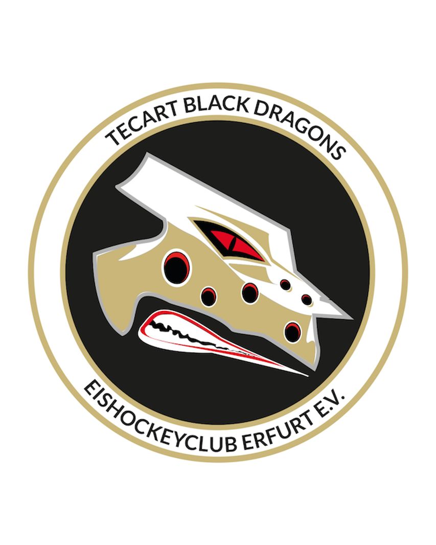 TecArt Black Dragons Erfurt