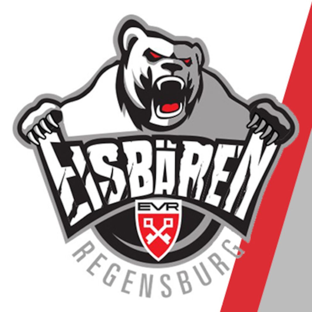 Eishockey-Club Freiburg e.V.
