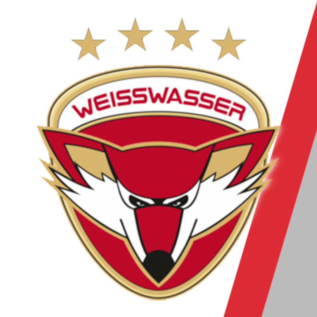 Eishockey-Club Freiburg e.V.
