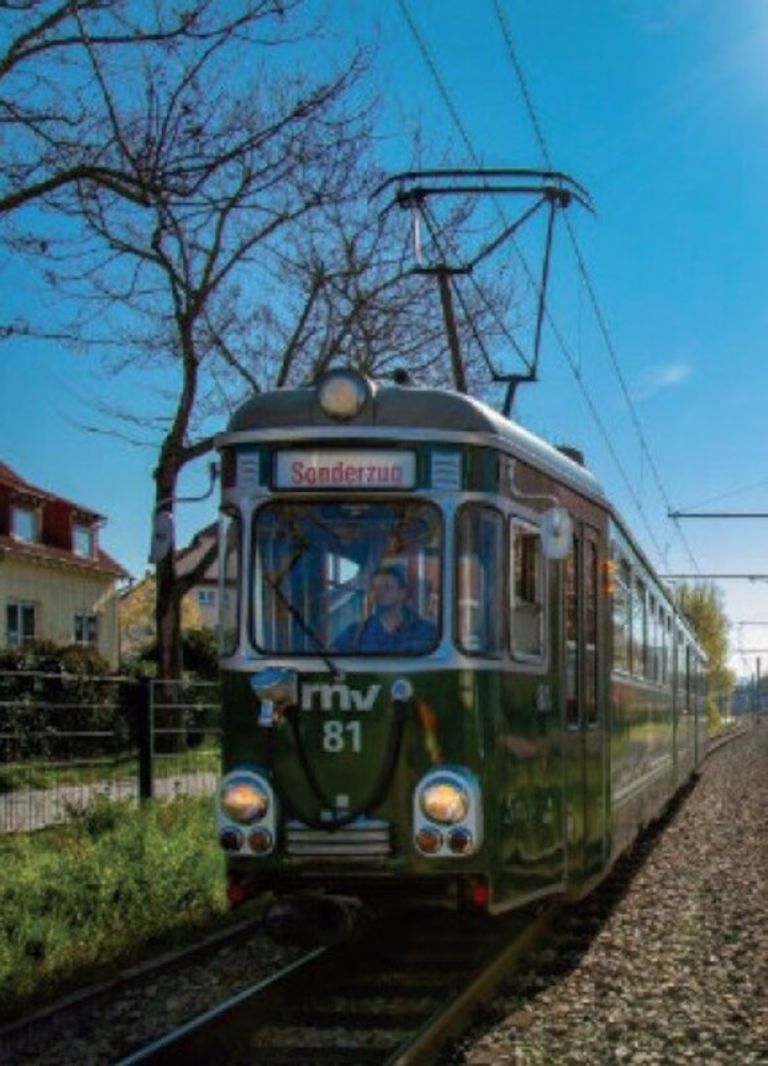 Rhein-Neckar-Verkehr GmbH