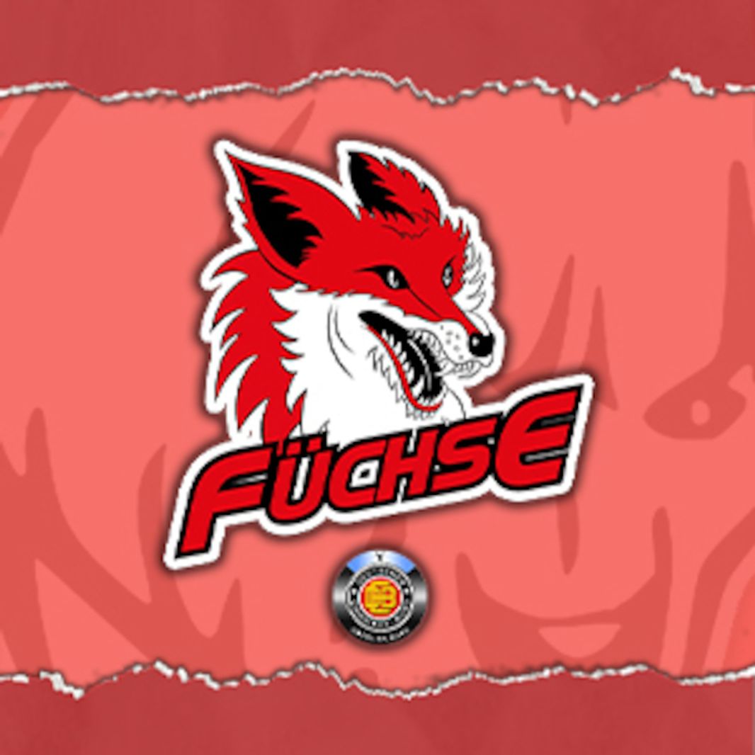 Hammer Eisbären