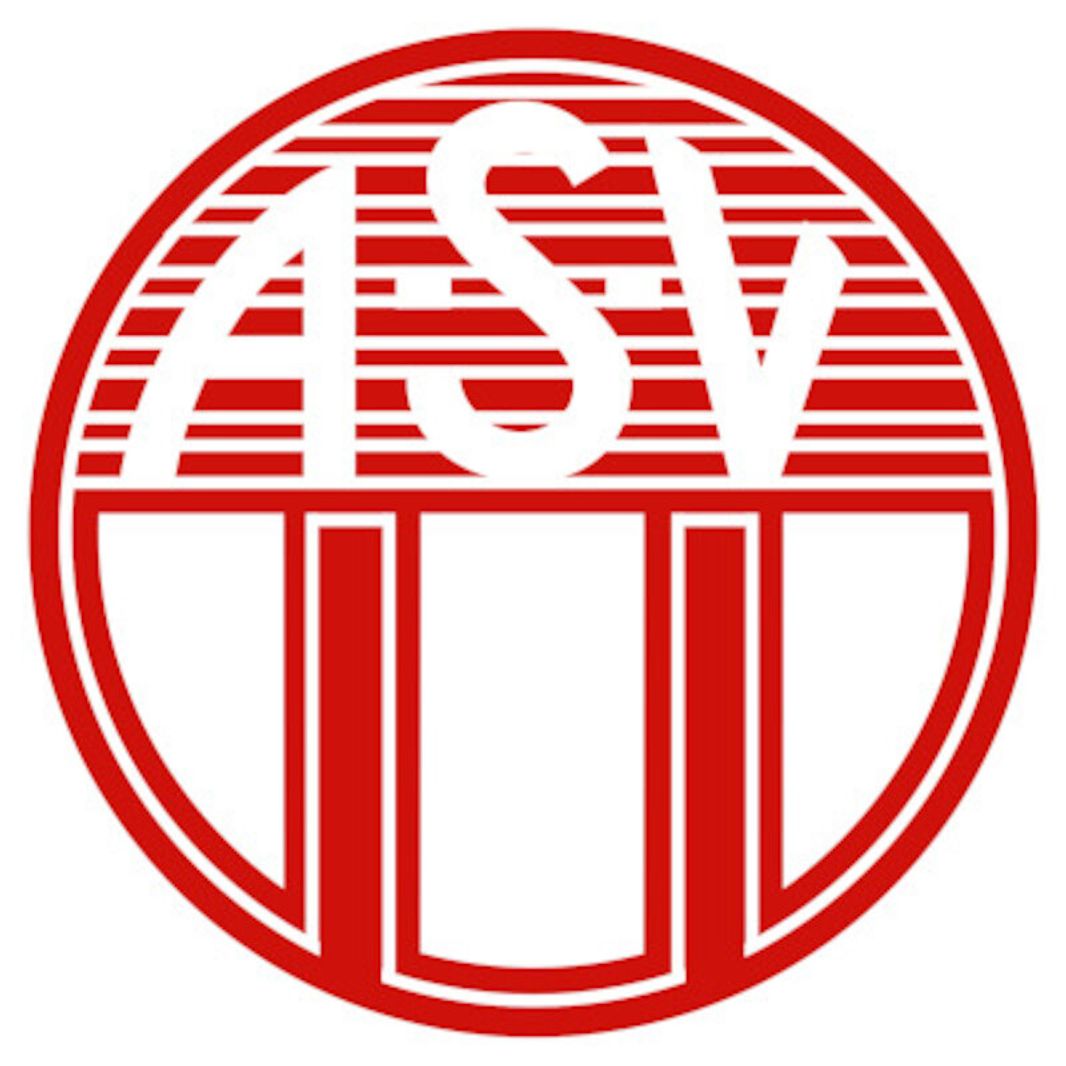 SpVgg Bayern Hof Spielbetriebs GmbH