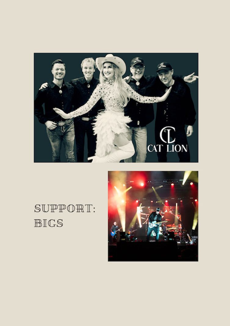 Cat Lion / Big S Music