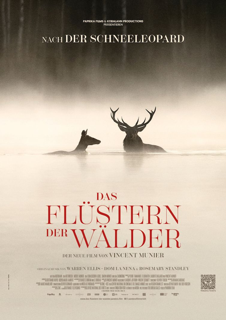Poster Film