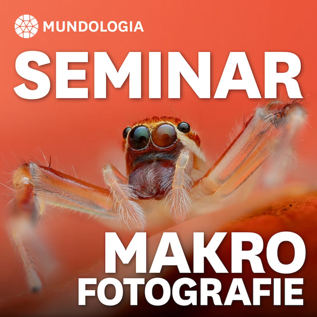 MUNDOLOGIA