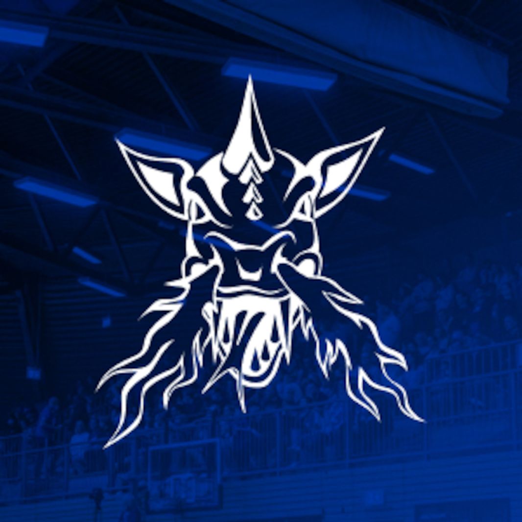 VfL SparkassenStars Bochum