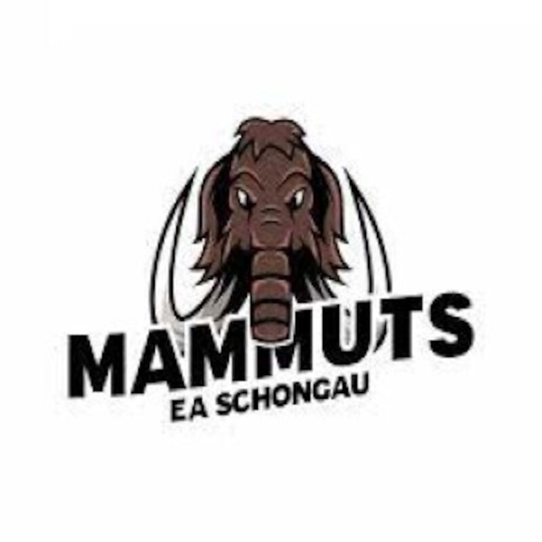 EA im TSV Schongau