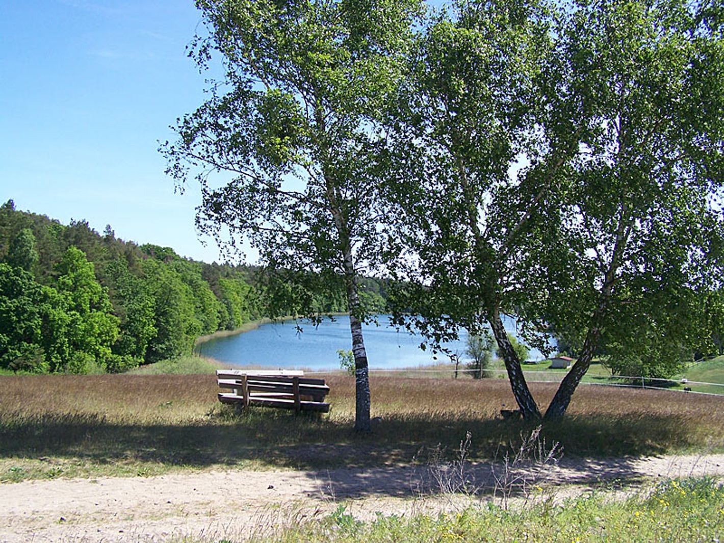 Rastplatz am Bornsee | © mvp.de - JP