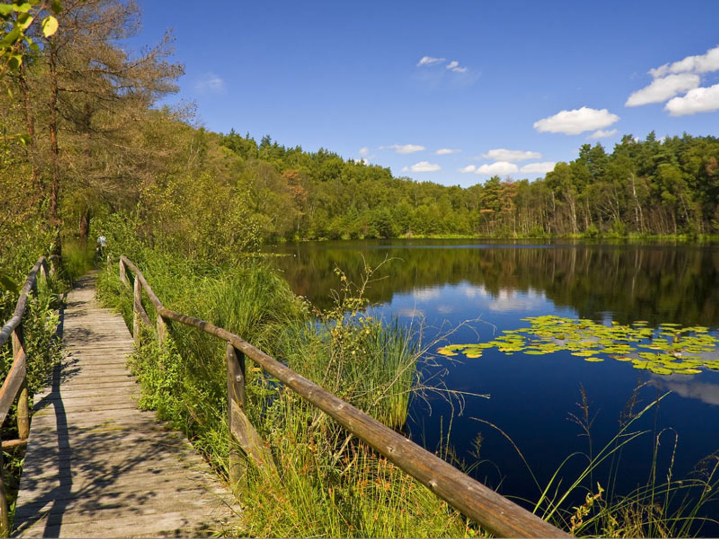 Müritz-Nationalpark