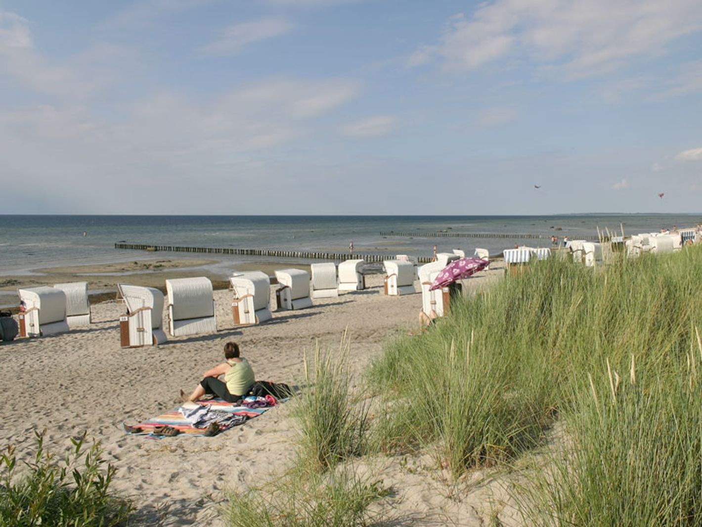 Strand Schwarzer Busch