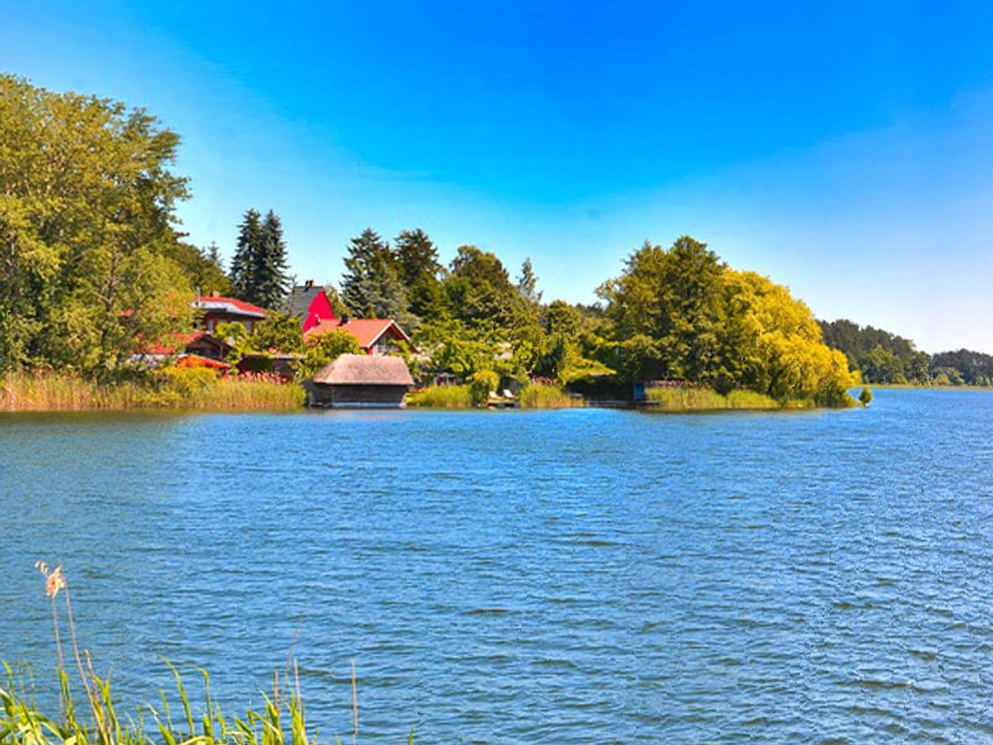 Feisnecksee