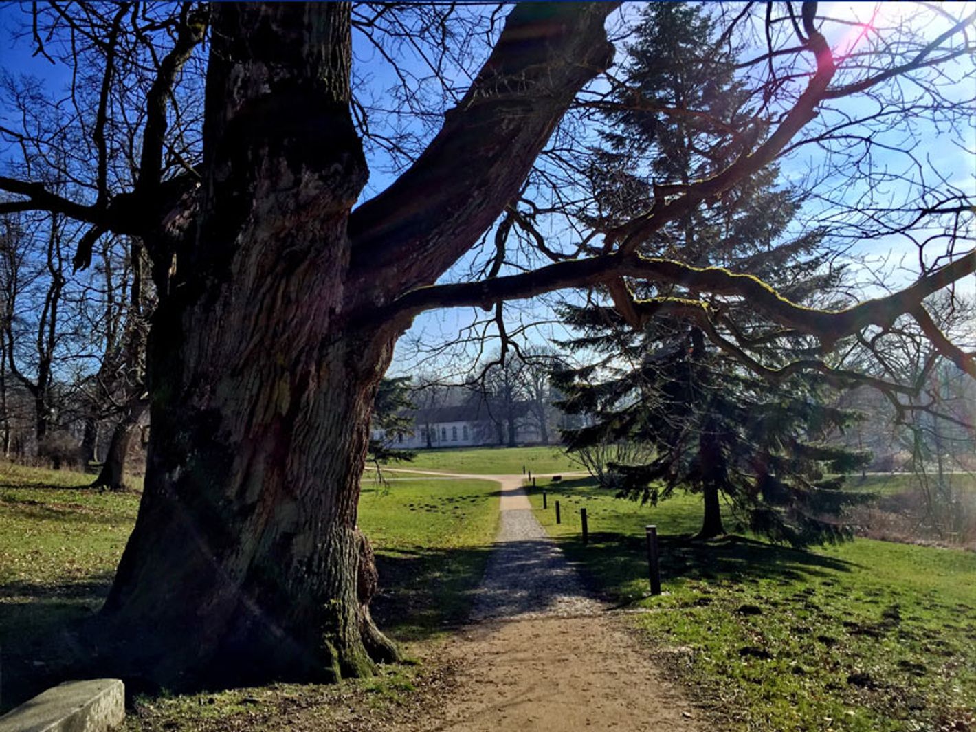 Schlosspark Putbus | mvp.de