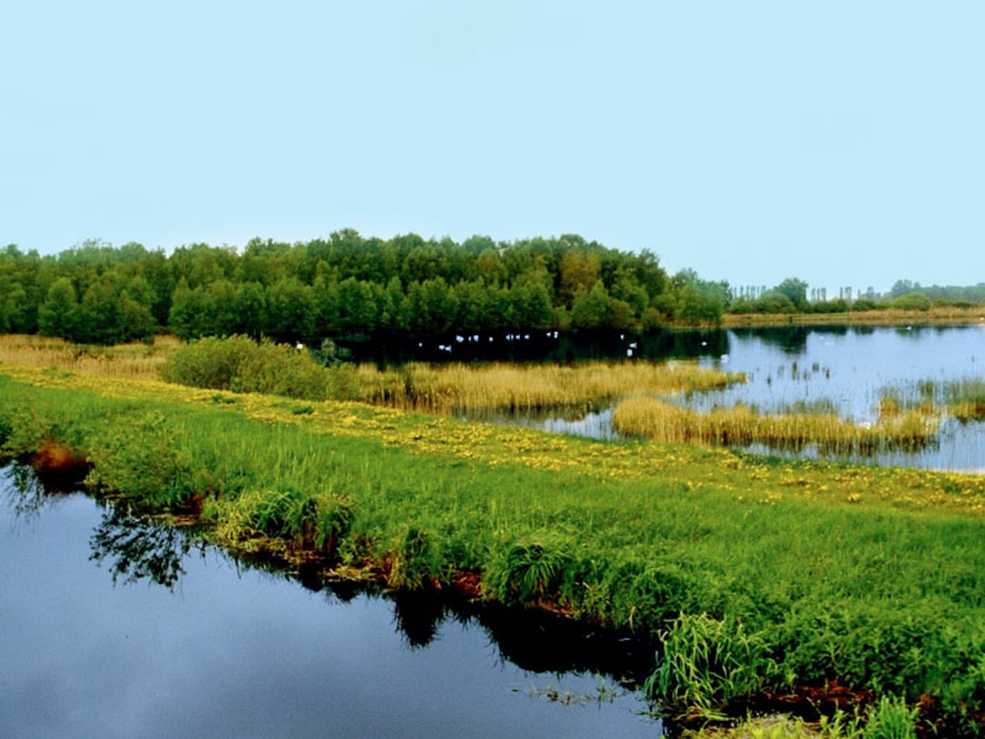 Aussichtspunkt Dütschower Brücke