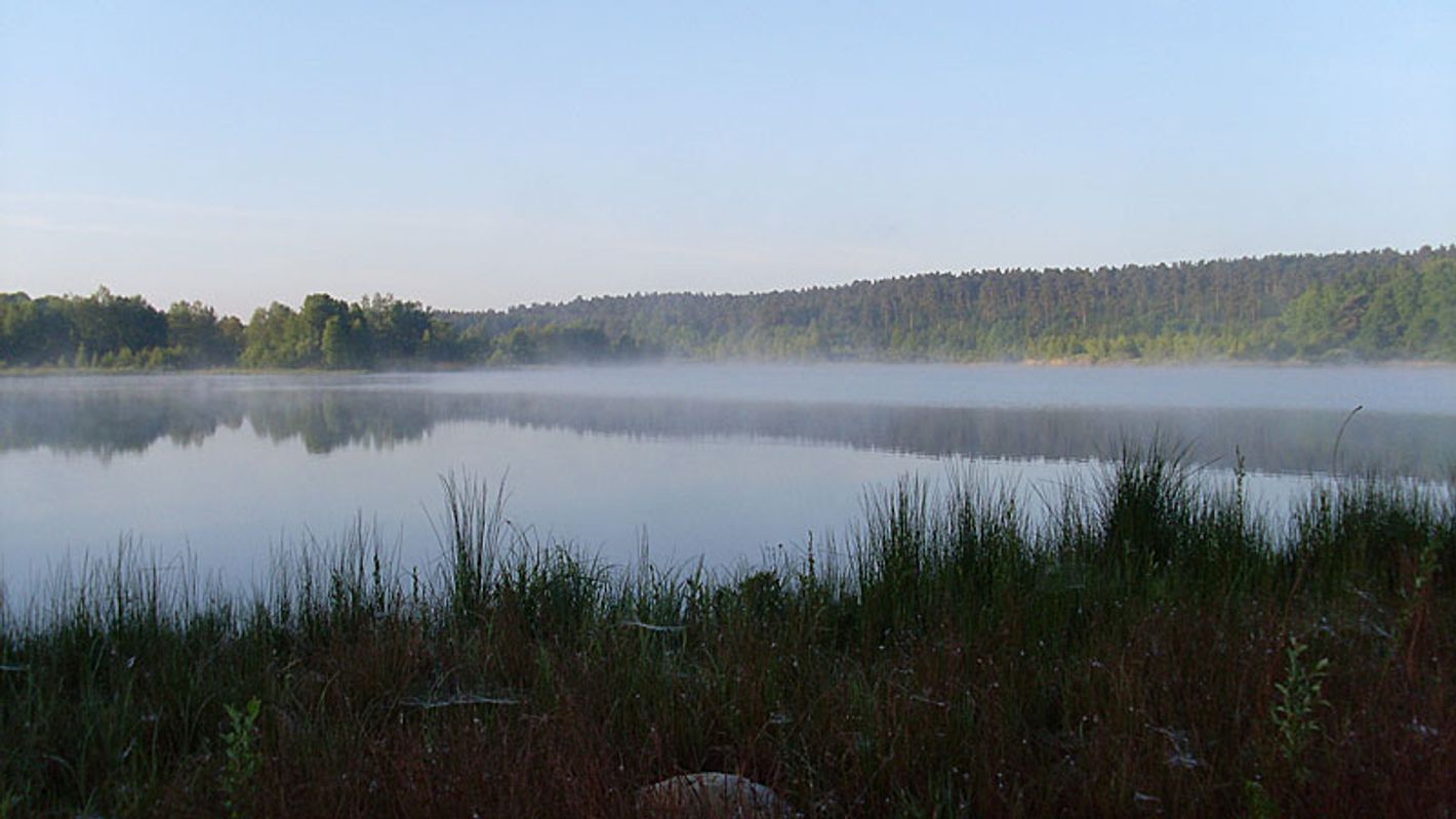 Fürstenseer See im Morgennebel | © S. Wildermann