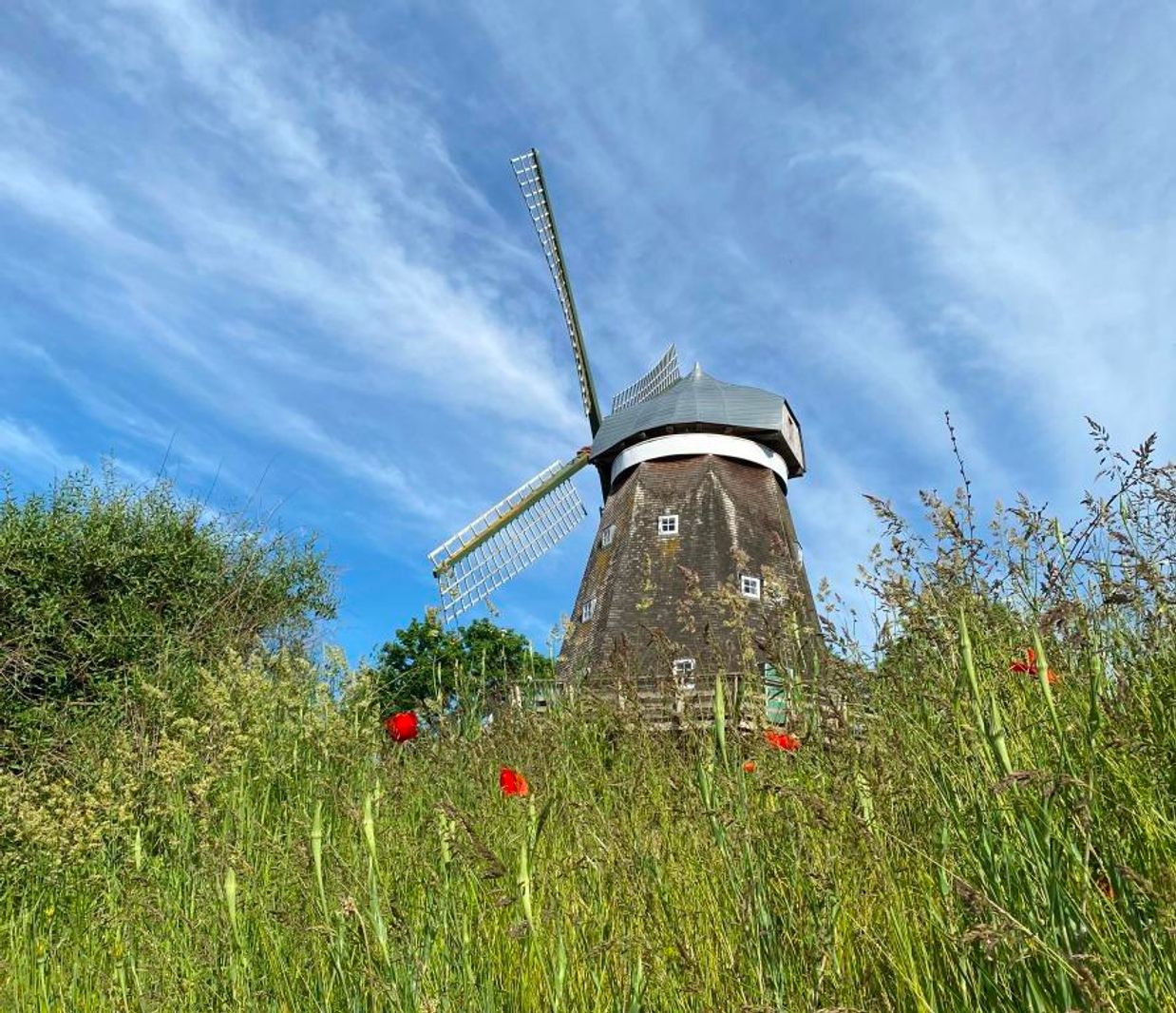 Mühle_Sibylle Böhler | © S. Böhler