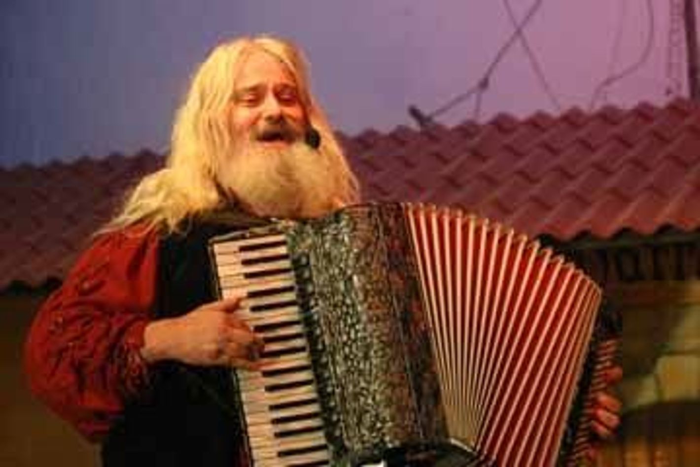 Squeezebox-Teddy | © Detlev Freier