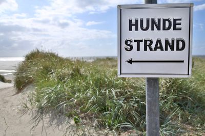 Es gibt viele Hundestrände an der Ostsee | © LeslieAnn - stock.adobe.com