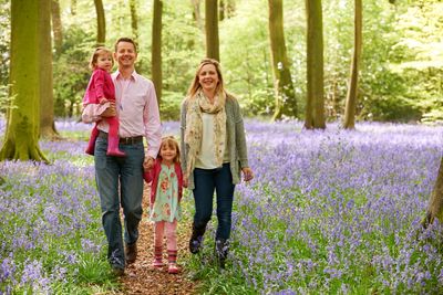 Familienspaziergang durch den Wald in der Frühlingszeit | © highwaystarz - stock.adobe.com