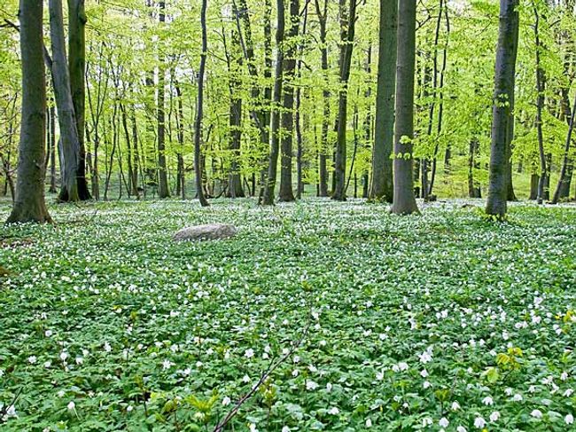 Ostern in Lohme