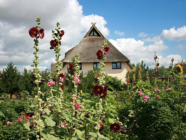 Streicheleinheiten für die Seele