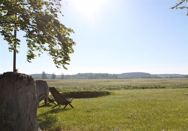 Pfingsten und "KunstOffen" im Müritz-Nationalpark