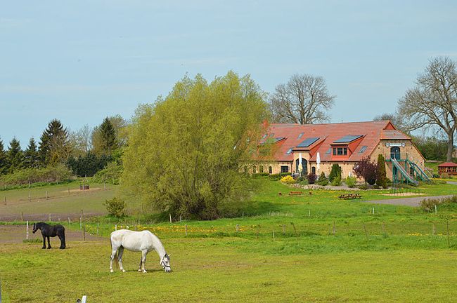 Natur Pur erleben und genießen