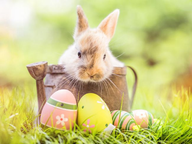 Ostern - spezial